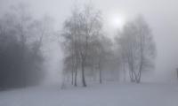 20230304_092328.jpg
